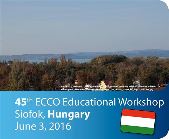 ecco_workshop_2016_Siofok