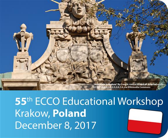 workshop_krakow_20171208